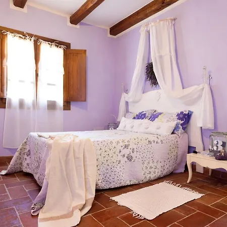 In Campagna Olbia